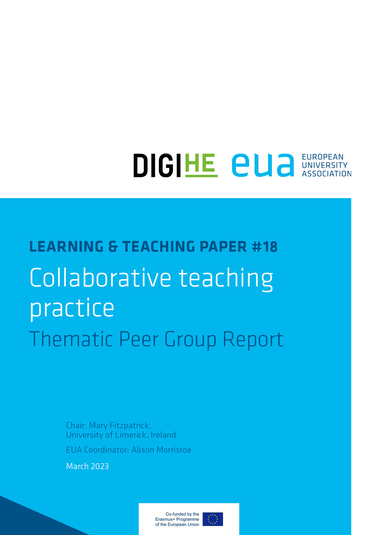 Collaborative teaching practice: Thematic Peer Group Report