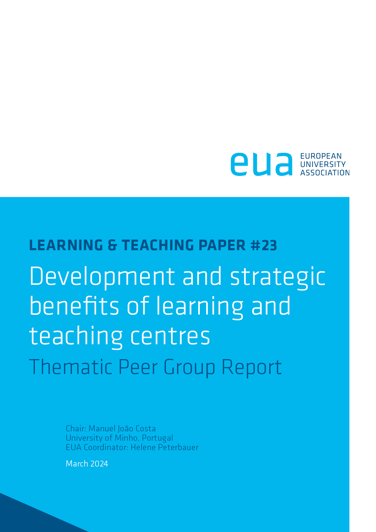 Development and strategic benefits of learning and teaching centres